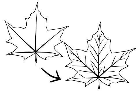 How to Draw a Maple Leaf | Design School