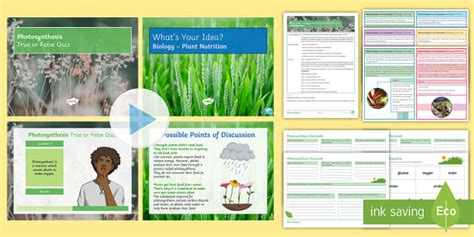 Relationships in Ecosystems Activity Pack | Beyond