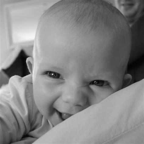 Fields of Sage: Nose Crinkles