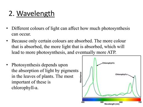 Photosynthesis | PPTX