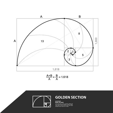 Golden ratio png Images - Free Download on Freepik
