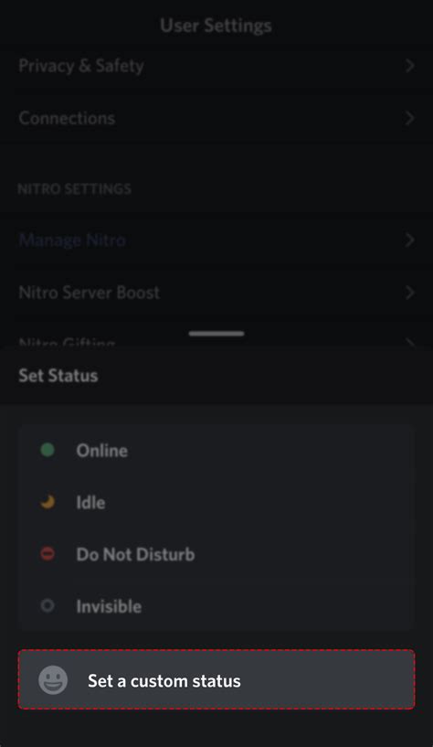 Image result for Auto Changing Discord Status