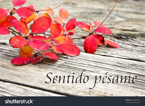 My Condolences In Spanish