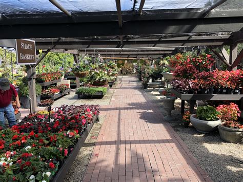 Roger's Gardens in Corona del Mar Is One of My Favorite Places