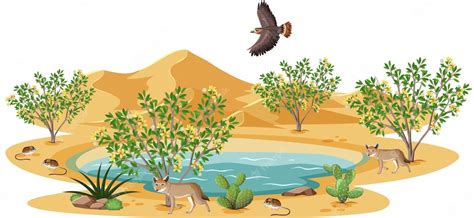 Ecosystem Example 的图像结果