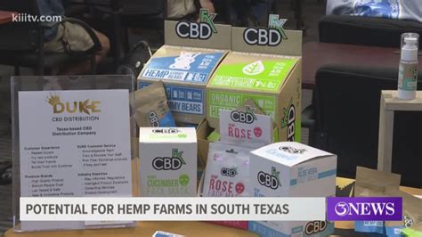 The future of industrial hemp farming in South Texas | kiiitv.com