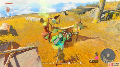 How to Find the Korok Friends on Great Sky Island - Great Sky Island - Korok Seeds | The Legend ...