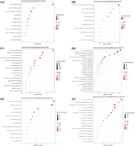 Figure 6 from Different Types of Non-Starch Polysaccharides Alter the ...