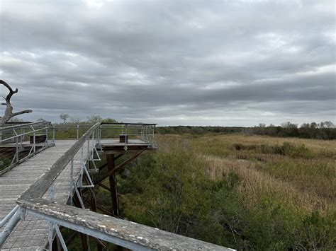 Rio Grande State Center Valley