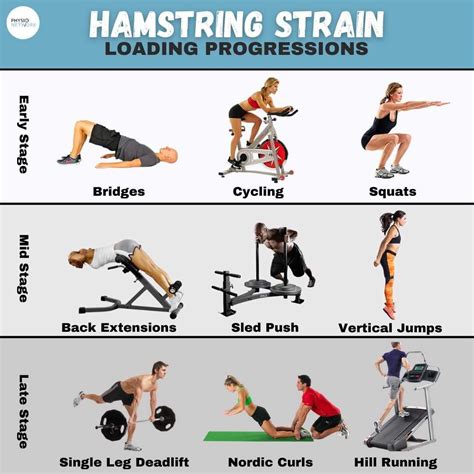 Physio Network on Instagram: “Hamstring strain: loading progressions 🏋️ ...