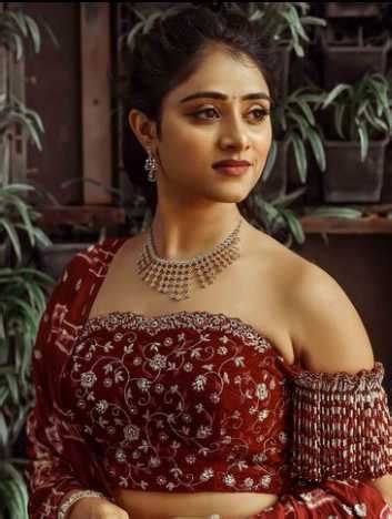 Sangeetha Sringeri Actor Age Instagram Movies Net Worth Biography