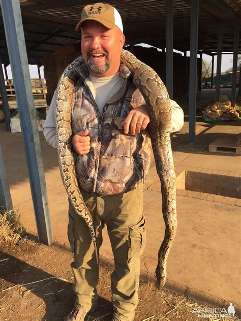 Image result for How Do Python Hunt