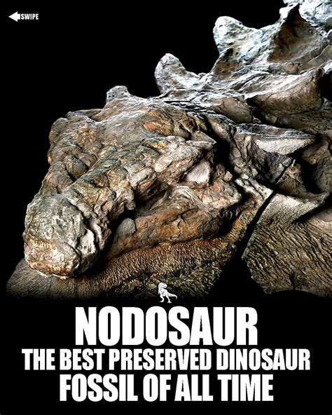 𝐏𝐋𝐀𝐍𝐄𝐓 𝐃𝐈𝐍𝐎𝐒𝐀𝐔𝐑𝐒 | A Dinosaur So Well Preserved, It Looks Like a Statue ...