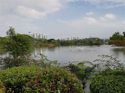 根植生态理念 彰显绿色魅力——贵阳观山湖区生态文明建设回顾_澎湃号·政务_澎湃新闻-The Paper