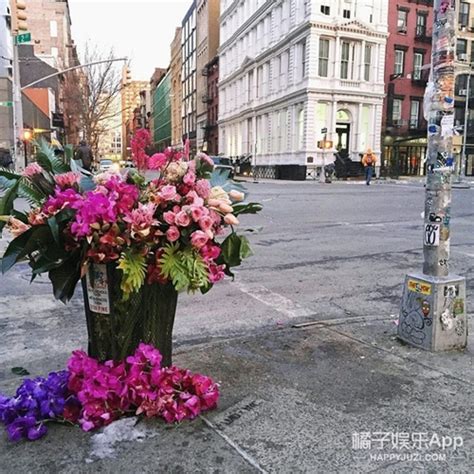 纽约街头垃圾桶里插满花 背后原因有点暖 - 资材资讯 - 园林资材网