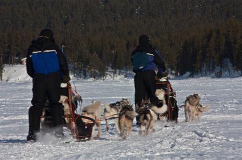 Beautiful experience - Reviews, Photos - Jukkasjarvi VildmarksTurer AB ...