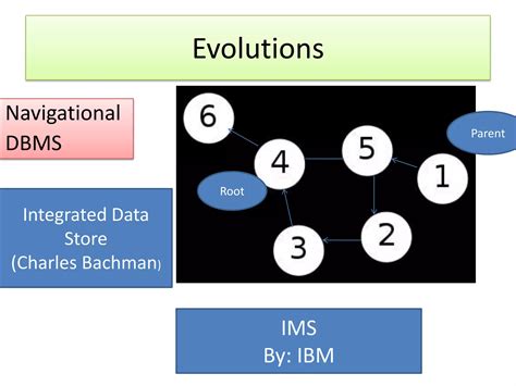 Database Processing 的图像结果