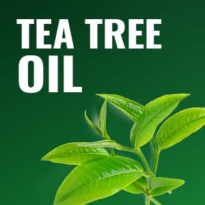 Morpheme Remedies Neem, Tea Tree & Basil Face Wash For Oil Control ...