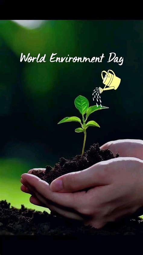 The Environment Day 的图像结果