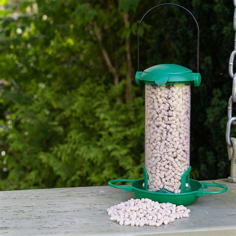 Gardman Flip Top Mealworm & Suet Feeder - Wild Bird Feeders – Peckish UK