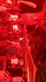 Vagabundo beach bar (Bar / Kneipe) - Okrug Gornji