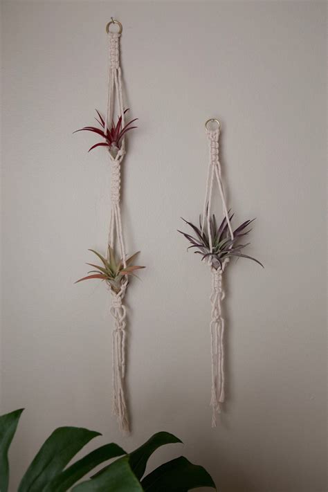 Ideal Hanging Air Plant Display Double Macrame Basket Poles