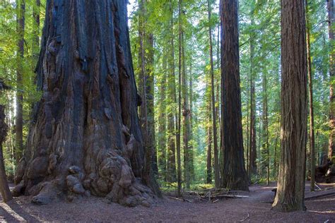 Nature Trail 的图像结果