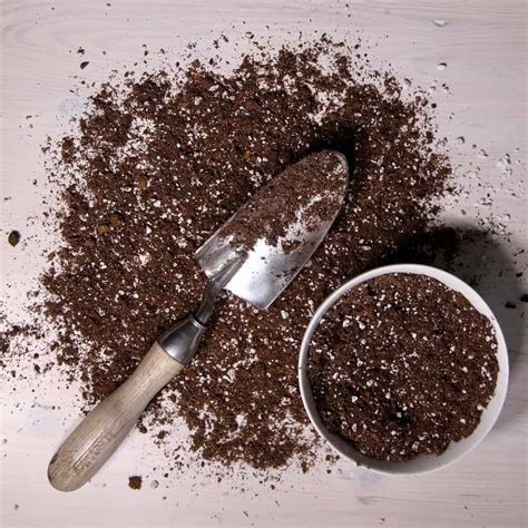 How to use perlite in potting mix for optimal aeration and drainage 🌱💧 ...