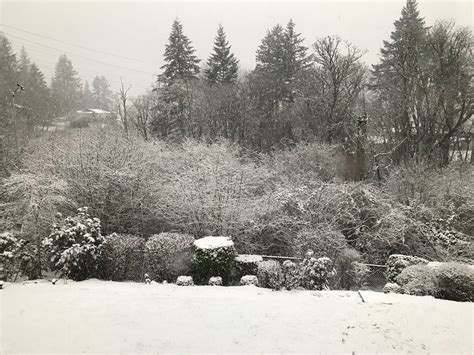 HAPPY VALLEY, OREGON WEATHER: JANUARY 2021 – Happy Valley, Oregon Weather