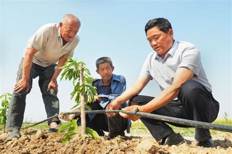 村民都要种花生了，一群人坐地头等着机器来，我家种完天都黑透了_凤凰网视频_凤凰网