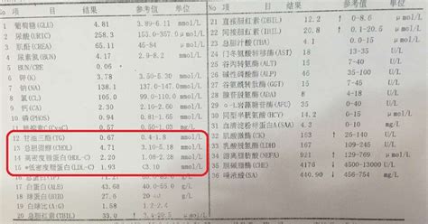 香港验血Y-DNA精准化验所报告单怎么看？（图文解读）_香港宝仁医疗中心【官网】-香港验血基因检测|专科看诊预约
