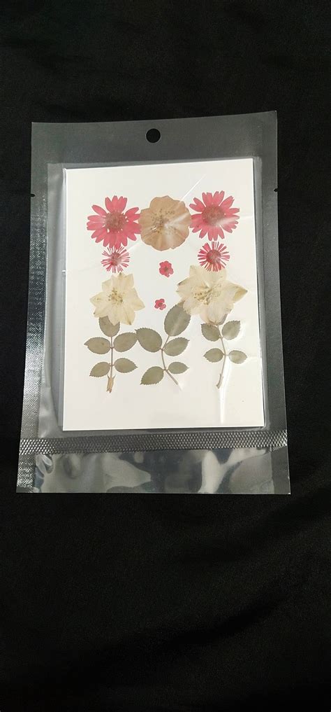 Dasiy flower pack – theo_artsoul