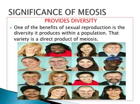Significance of mitosis nd meosis sss | PPTX