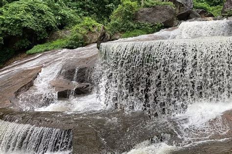 Coimbatore Forest Division
