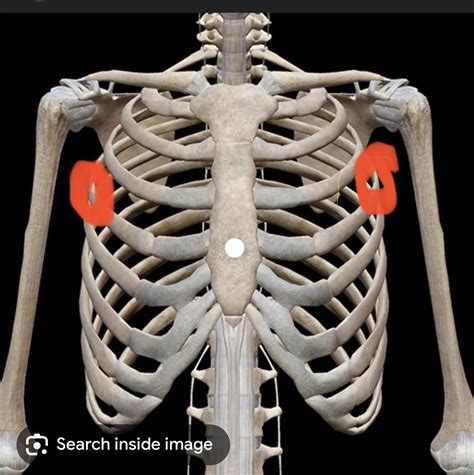 Pain Sides of Armpit : r/costochondritis