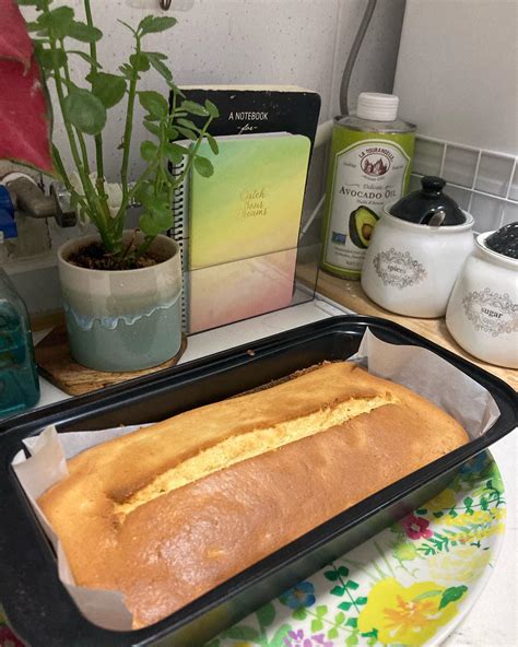 (@jialulu) • Instagram photos and videos