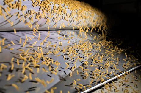 Philadelphia Macaroni Company | LinkedIn