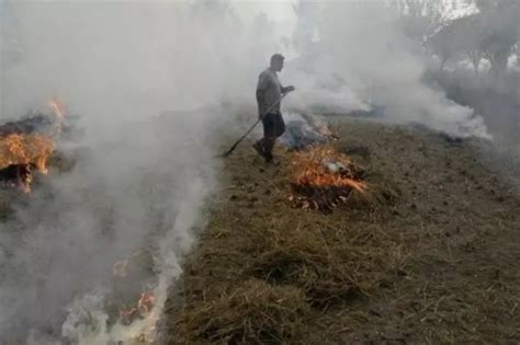 If Not Controlled, Stubble Burning Emissions Will Double By 2050!