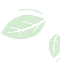 Eco Tourism Haldwani Forest Division