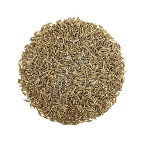 Sunil Ketan and Co., Black Pepper Seeds and Shelled Walnuts Supplier ...