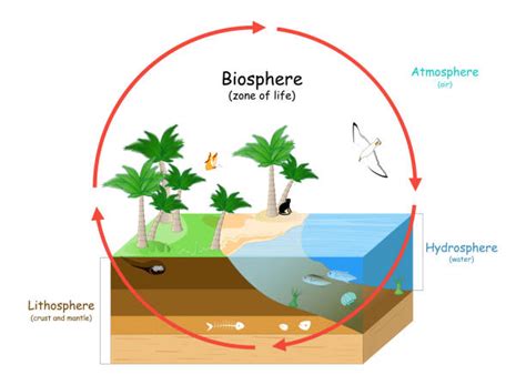 Biosphere Examples 的图像结果