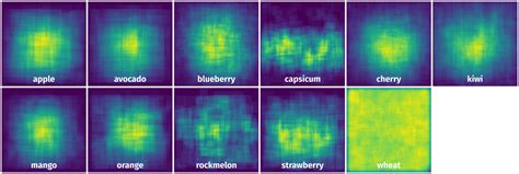 deepNIR Fruit Detection - Dataset Ninja
