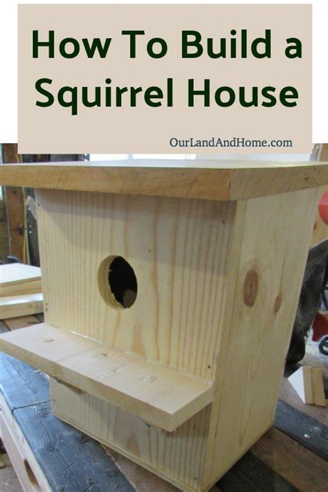 Printable Squirrel House Plans