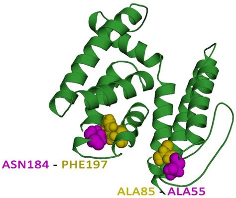 Designing a Next-Generation Multiepitope-Based Vaccine against ...