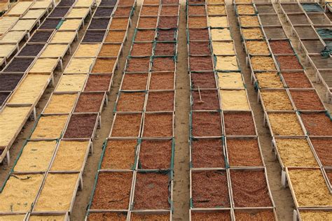 Image result for Basic Honey Processing