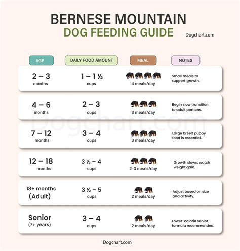Bernese Mountain Dog Feeding Chart by Age & Weight | Complete Diet Guide