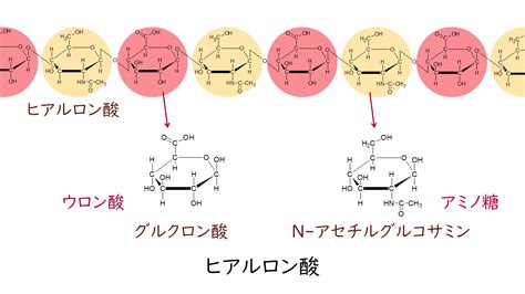 Prach Using MATLAB Snr 的图像结果