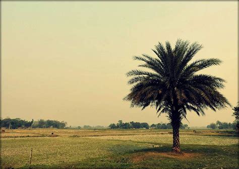 National Innovation Foundation-India