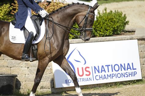 Lamplight Equestrian Center Named Host for 2020 and 2021 U.S. Dressage ...