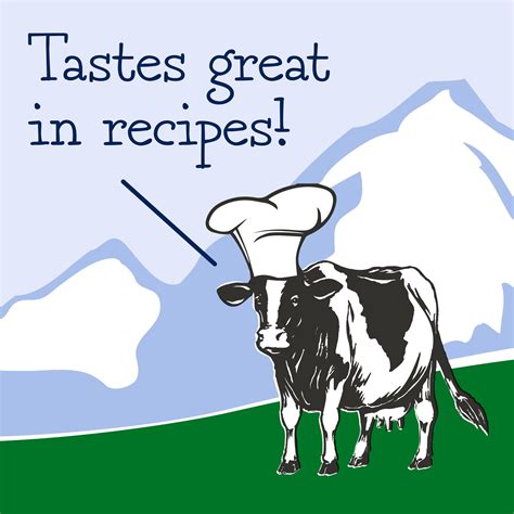 Mountain High Plain Yogurt